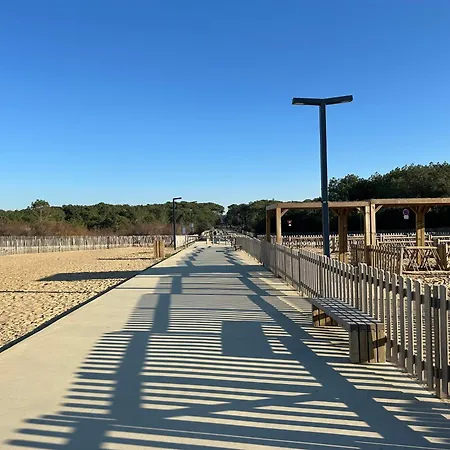 Campsite En Bord De *