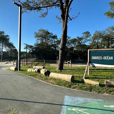 Campsite En Bord De